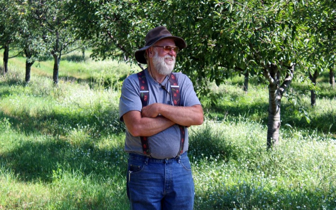 Lutz Farm Cherry Harvest