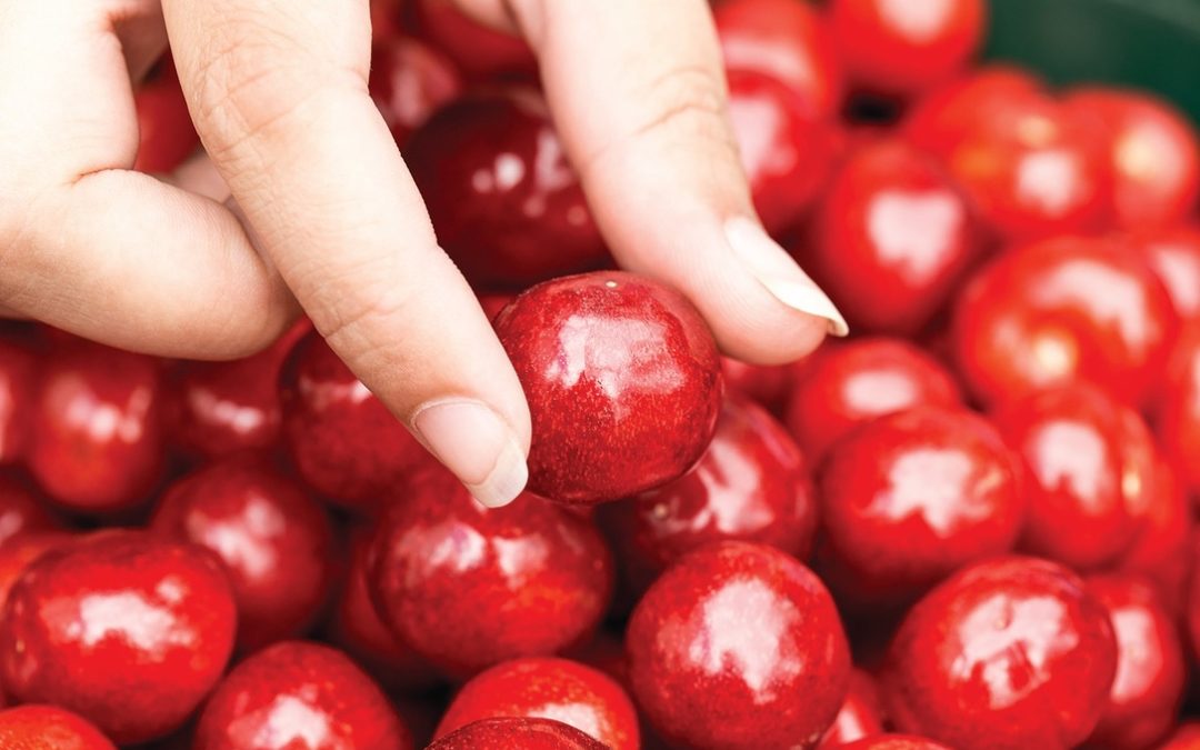 5 Reasons to Choose Tart Cherries for Your Innovations